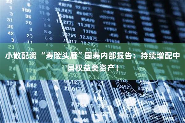 小散配资 “寿险头雁”国寿内部报告：持续增配中国权益类资产！