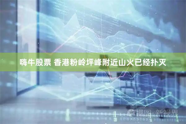 嗨牛股票 香港粉岭坪峰附近山火已经扑灭