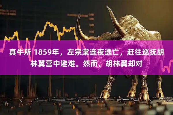 真牛所 1859年，左宗棠连夜逃亡，赶往巡抚胡林翼营中避难。然而，胡林翼却对