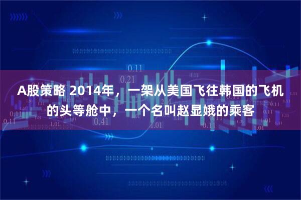 A股策略 2014年，一架从美国飞往韩国的飞机的头等舱中，一个名叫赵显娥的乘客