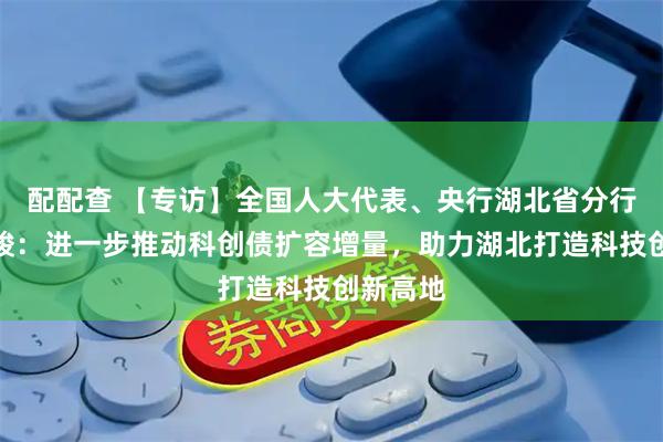 配配查 【专访】全国人大代表、央行湖北省分行行长马骏：进一步推动科创债扩容增量，助力湖北打造科技创新高地