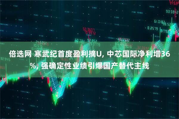 倍选网 寒武纪首度盈利摘U, 中芯国际净利增36%, 强确定性业绩引爆国产替代主线