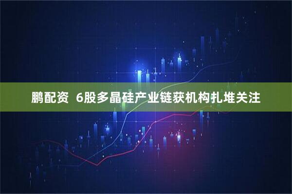 鹏配资  6股多晶硅产业链获机构扎堆关注
