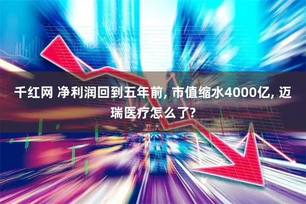 千红网 净利润回到五年前, 市值缩水4000亿, 迈瑞医疗怎么了?