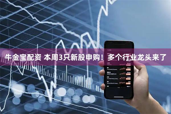 牛金宝配资 本周3只新股申购！多个行业龙头来了