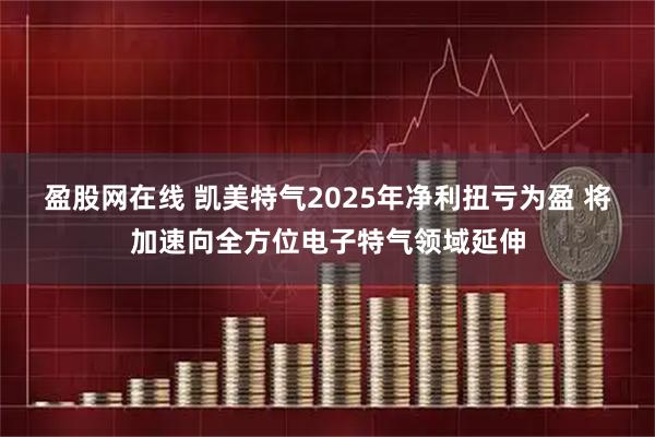 盈股网在线 凯美特气2025年净利扭亏为盈 将加速向全方位电子特气领域延伸