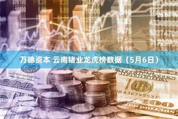 万德资本 云南锗业龙虎榜数据（5月6日）