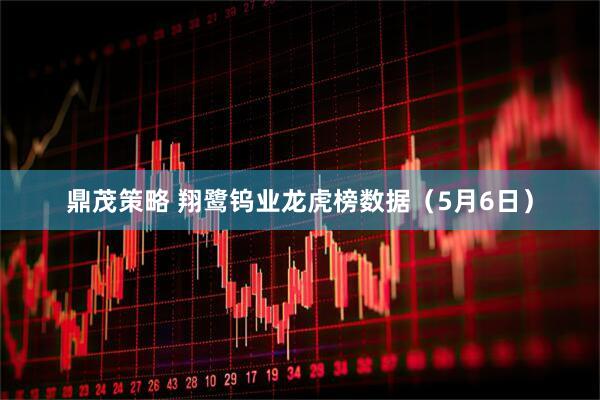 鼎茂策略 翔鹭钨业龙虎榜数据（5月6日）