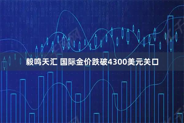 毅鸣天汇 国际金价跌破4300美元关口