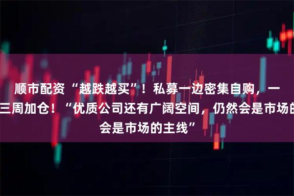 顺市配资 “越跌越买”！私募一边密集自购，一边连续三周加仓！“优质公司还有广阔空间，仍然会是市场的主线”