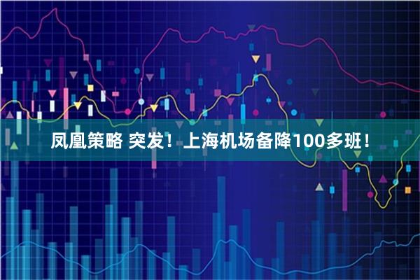凤凰策略 突发！上海机场备降100多班！
