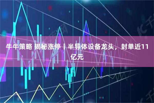 牛牛策略 揭秘涨停丨半导体设备龙头，封单近11亿元