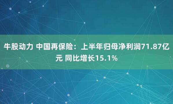 牛股动力 中国再保险：上半年归母净利润71.87亿元 同比增长15.1%