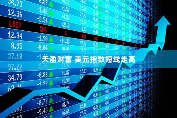 天盈财富 美元指数短线走高